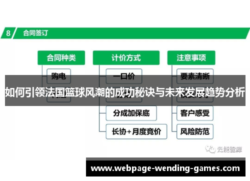 如何引领法国篮球风潮的成功秘诀与未来发展趋势分析