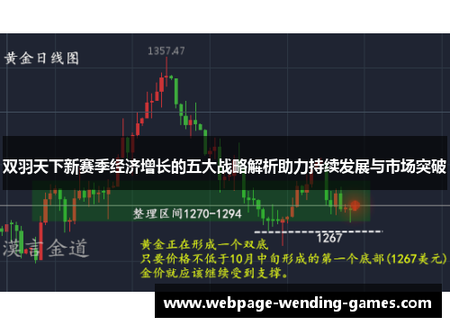 双羽天下新赛季经济增长的五大战略解析助力持续发展与市场突破