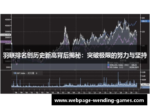羽联排名创历史新高背后揭秘：突破极限的努力与坚持