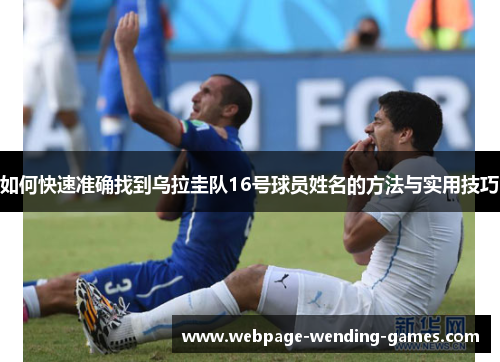 如何快速准确找到乌拉圭队16号球员姓名的方法与实用技巧