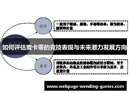 如何评估麦卡蒂的竞技表现与未来潜力发展方向