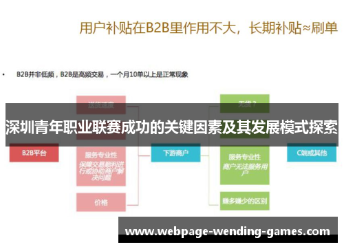 深圳青年职业联赛成功的关键因素及其发展模式探索