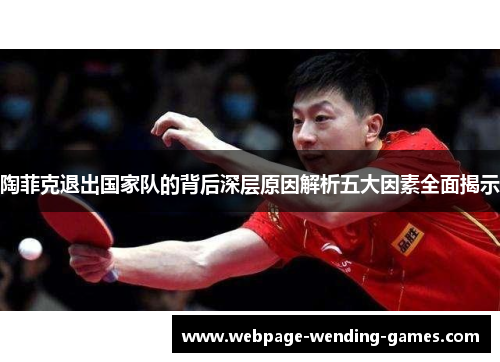 陶菲克退出国家队的背后深层原因解析五大因素全面揭示